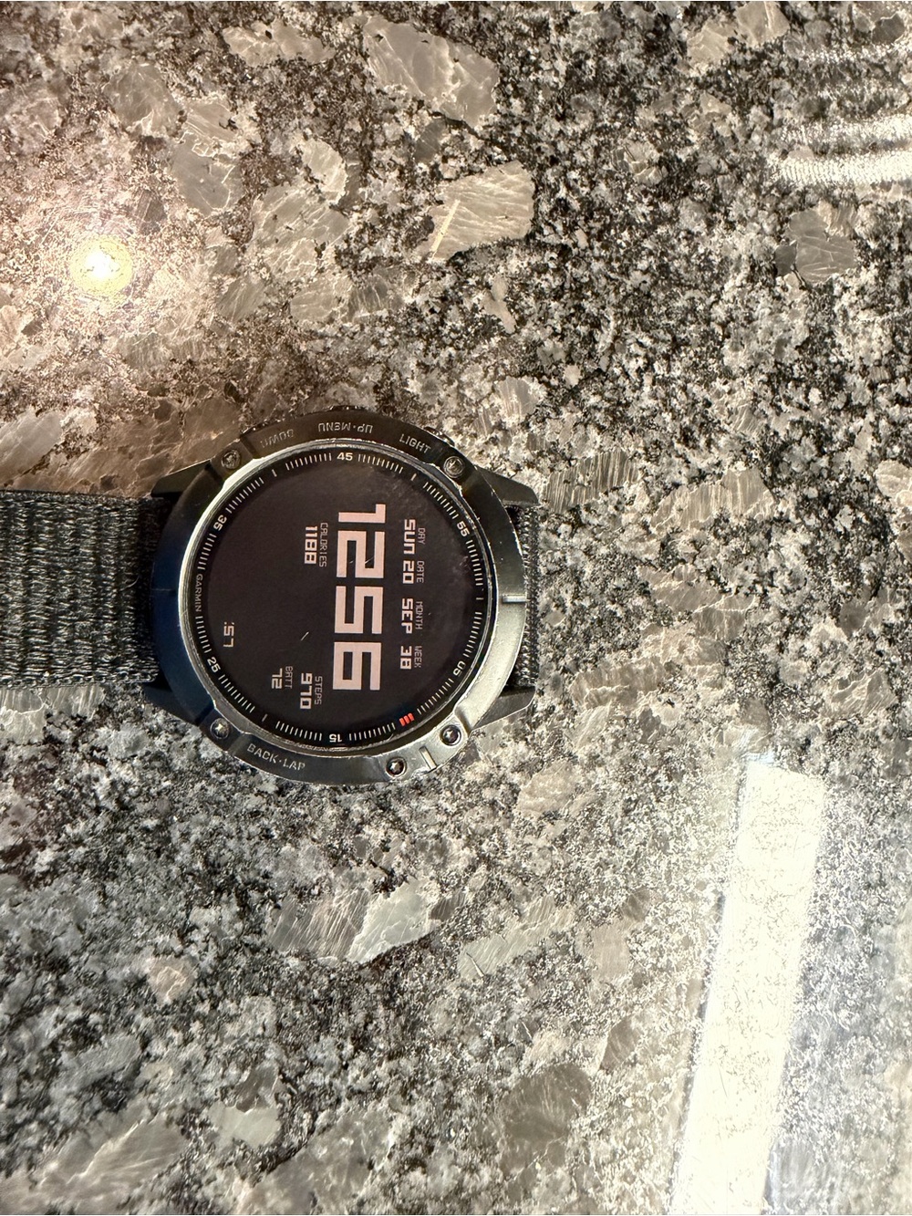 Garmin Fenix 6X Pro